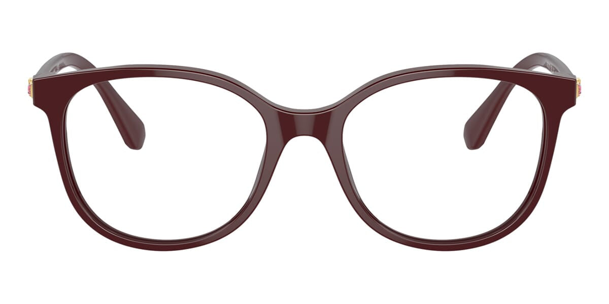 Swarovski SK2002 1008 Glasses