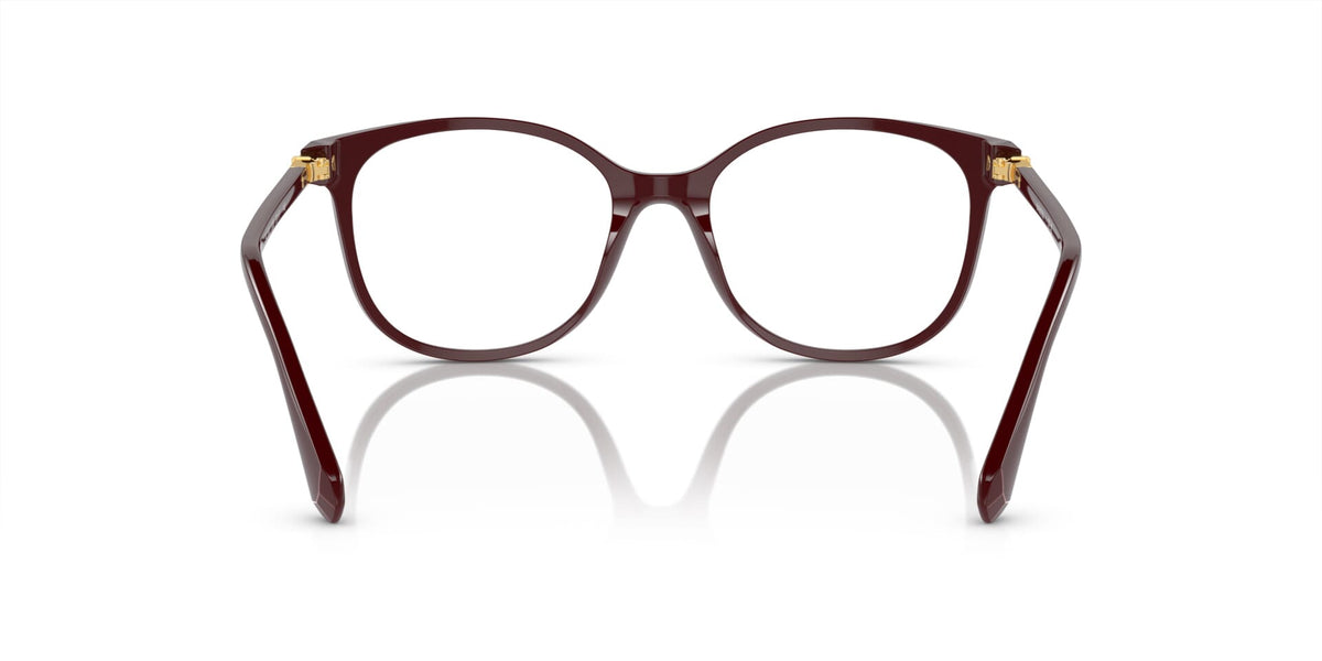 Swarovski SK2002 1008 Glasses