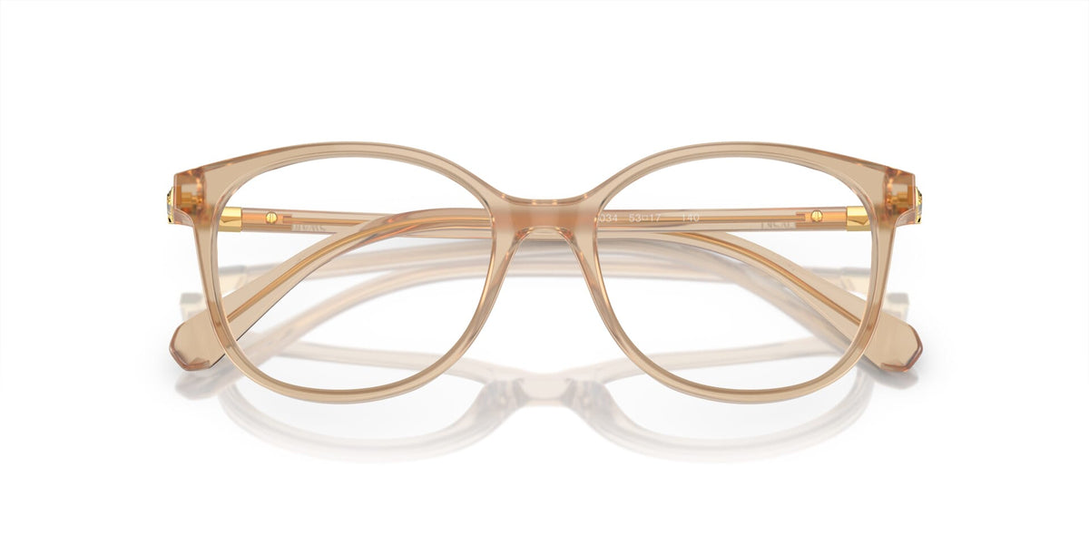 Swarovski SK2002 1034 Glasses