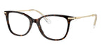 Swarovski SK2010 1002 Glasses