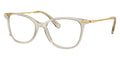Swarovski SK2010 3003 Glasses