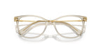 Swarovski SK2010 3003 Glasses