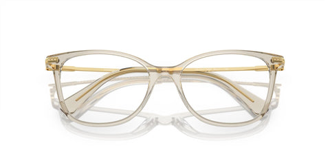 Swarovski SK2010 3003 Glasses