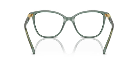 Swarovski SK2020 1043 Glasses