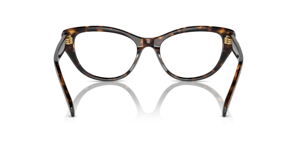 Swarovski SK2023 1002 Glasses