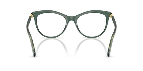 Swarovski SK2064 1043 Glasses