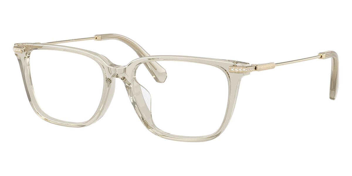 Swarovski SK2067D 3003 Glasses