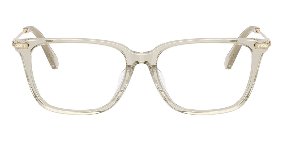 Swarovski SK2067D 3003 Glasses