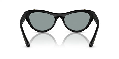 Swarovski SK6007 1020/1 Sunglasses