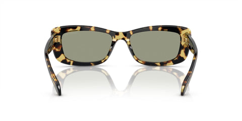 Swarovski SK6008 1009/2 Sunglasses