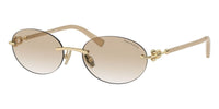 Tiffany & Co TF3104D 6178/11 Sunglasses