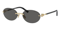 Tiffany & Co TF3104D 6216/S4 Sunglasses