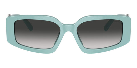 Tiffany & Co TF4208U 8388/3C Sunglasses