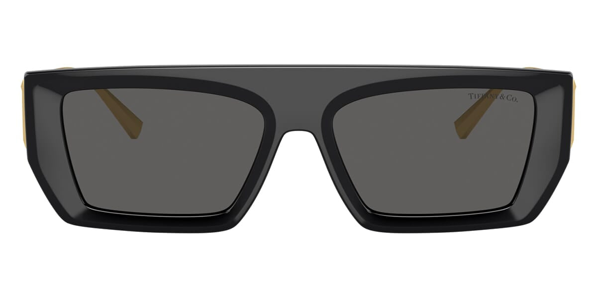 Tiffany & Co TF4214U 8001/S4 Sunglasses