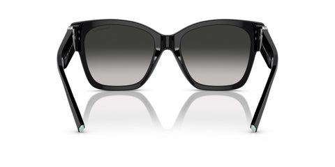 Tiffany & Co TF4216 8001/3C Sunglasses