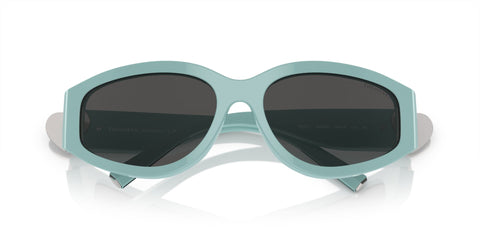 Tiffany & Co TF4217 8388/87 Sunglasses