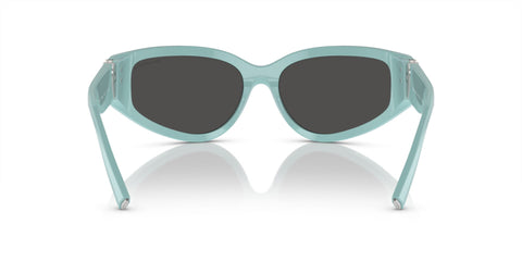 Tiffany & Co TF4217 8388/87 Sunglasses
