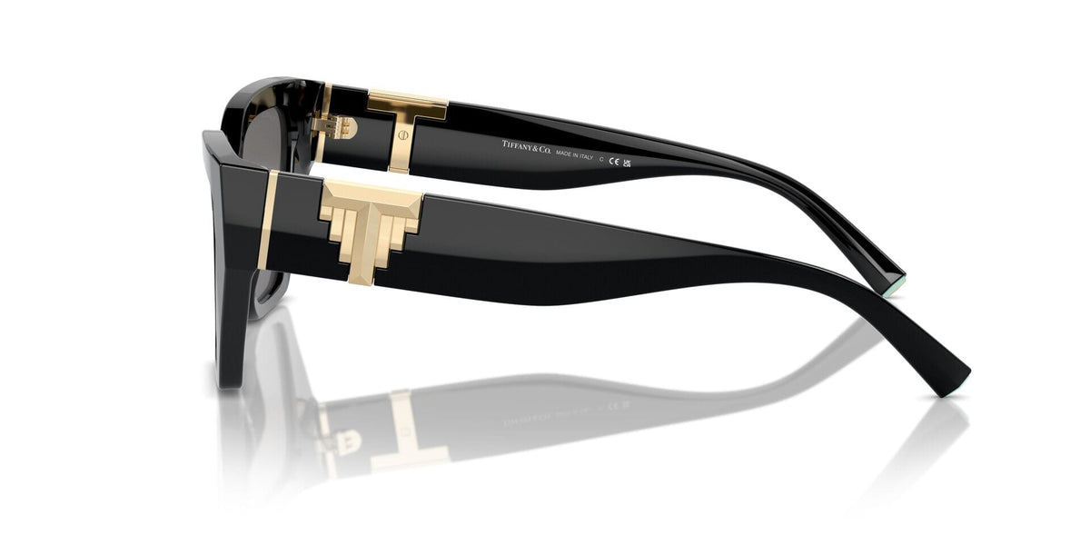 Tiffany & Co TF4218 8001/81 Polarised Sunglasses