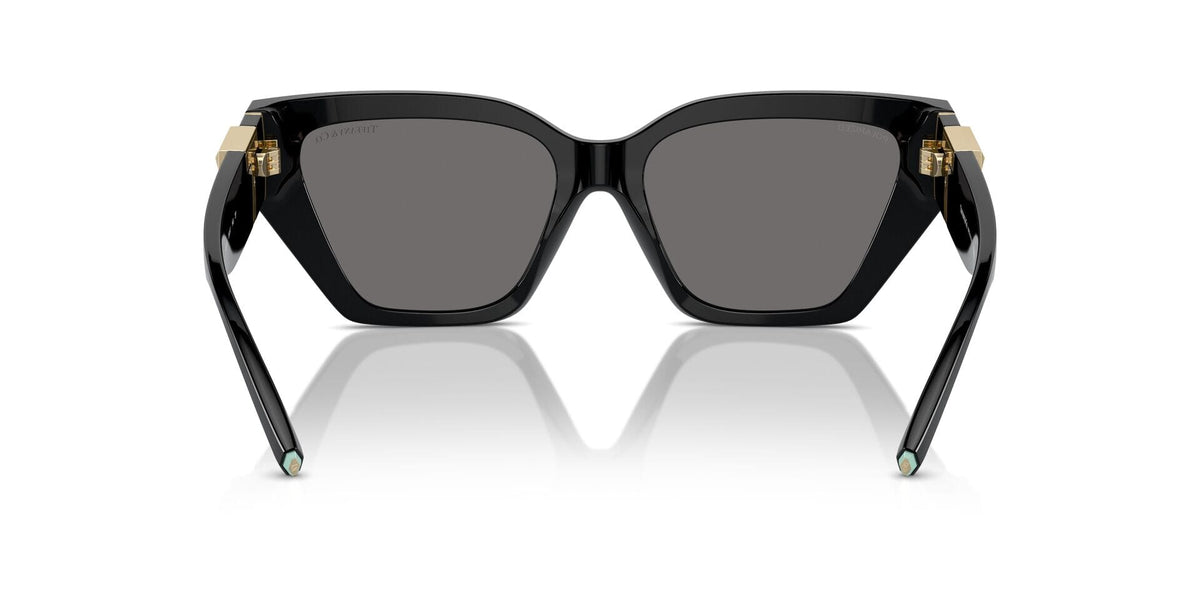 Tiffany & Co TF4218 8001/81 Polarised Sunglasses