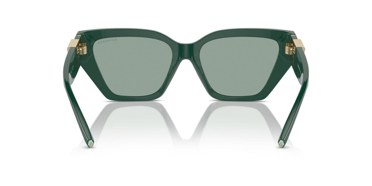 Tiffany & Co TF4218 8408/82 Sunglasses