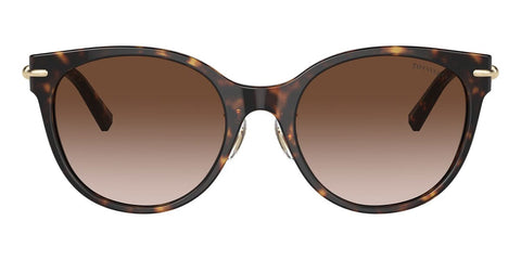 Tiffany & Co TF4223D 8015/3B Sunglasses
