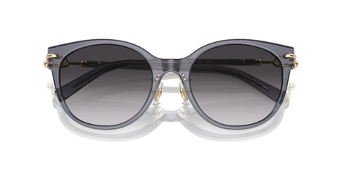 Tiffany & Co TF4223D 8405/3C Sunglasses