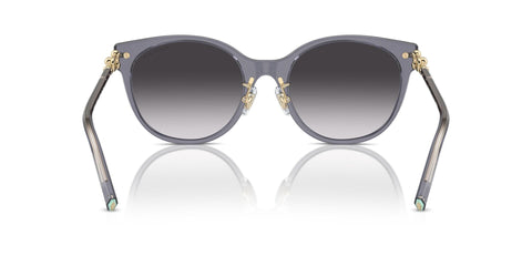 Tiffany & Co TF4223D 8405/3C Sunglasses