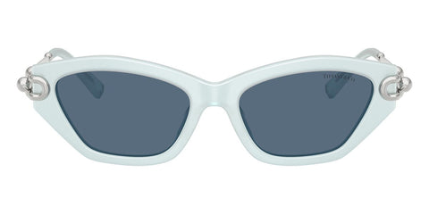 Tiffany & Co TF4231U 8436/80 Sunglasses