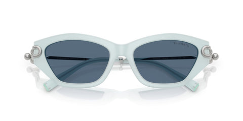 Tiffany & Co TF4231U 8436/80 Sunglasses
