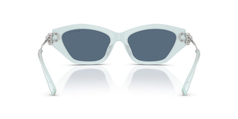 Tiffany & Co TF4231U 8436/80 Sunglasses