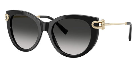 Tiffany & Co TF4232 8001/3C Sunglasses