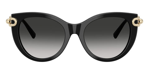 Tiffany & Co TF4232 8001/3C Sunglasses