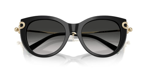 Tiffany & Co TF4232 8001/3C Sunglasses