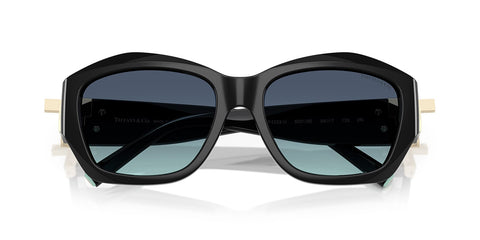 Tiffany & Co TF4233U 8001/9S Sunglasses