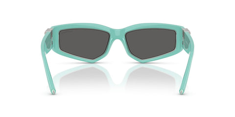 Tiffany & Co TF4234U 8388/S4 Sunglasses