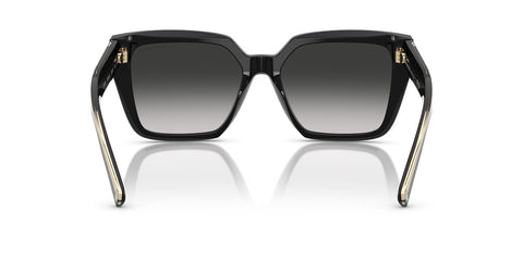 Tiffany & Co TF4235 8001/3C Sunglasses