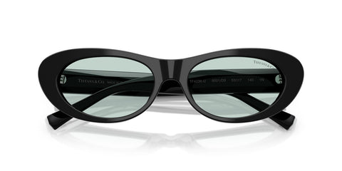 Tiffany & Co TF4236U 8001/D9 Sunglasses