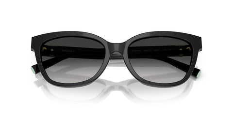 Tiffany & Co TF4237B 8001/3C Sunglasses