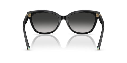 Tiffany & Co TF4237B 8001/3C Sunglasses