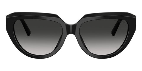 Tiffany & Co TF4238U 8001/3C Sunglasses