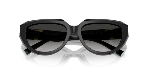 Tiffany & Co TF4238U 8001/3C Sunglasses