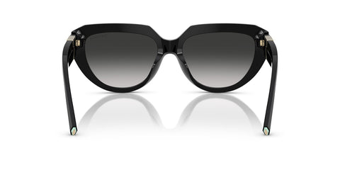 Tiffany & Co TF4238U 8001/3C Sunglasses