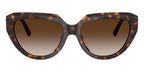 Tiffany & Co TF4238U 8015/3B Sunglasses