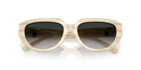 Tiffany & Co TF4238U 8431/3C Sunglasses