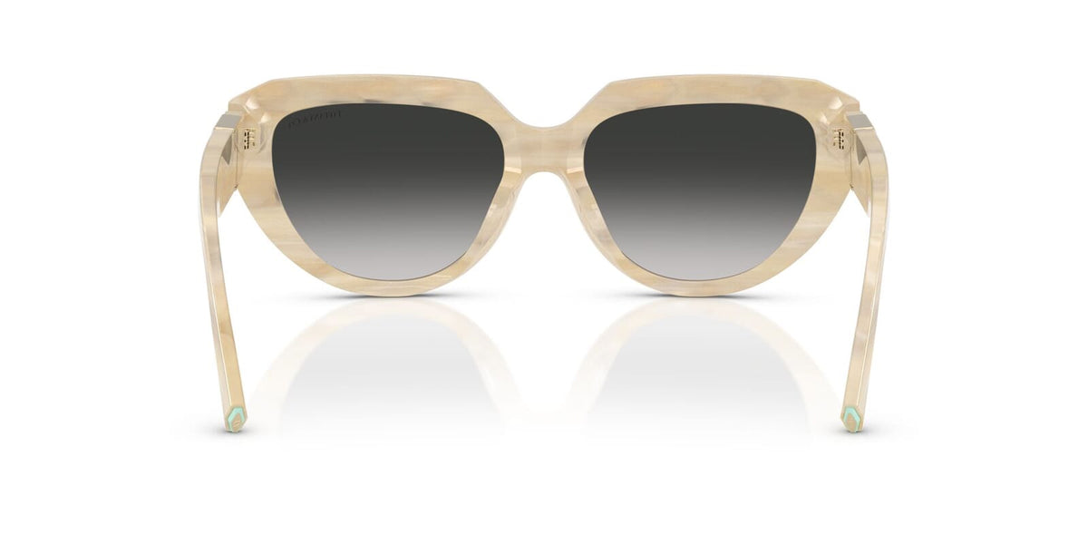Tiffany & Co TF4238U 8431/3C Sunglasses