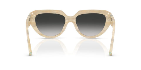 Tiffany & Co TF4238U 8431/3C Sunglasses