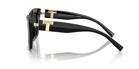 Tiffany & Co TF4239U 8001/3C Sunglasses