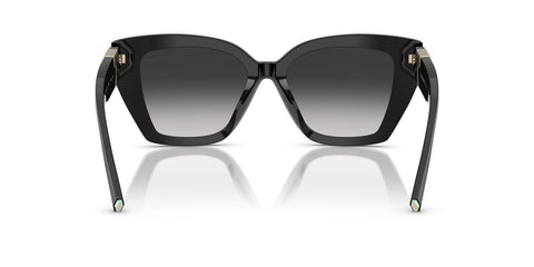 Tiffany & Co TF4239U 8001/3C Sunglasses