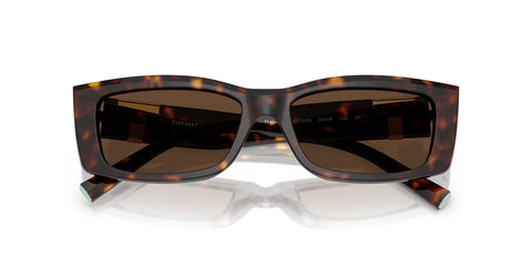 Tiffany & Co TF4240U 8015/3G Sunglasses