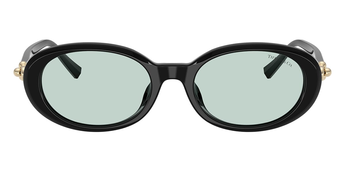 Tiffany & Co TF4242D 8001/D9 Sunglasses